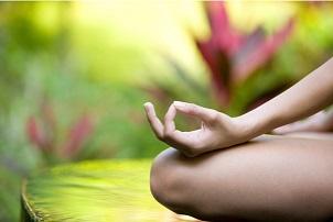 YOGAb